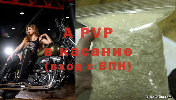 дживик Арсеньев