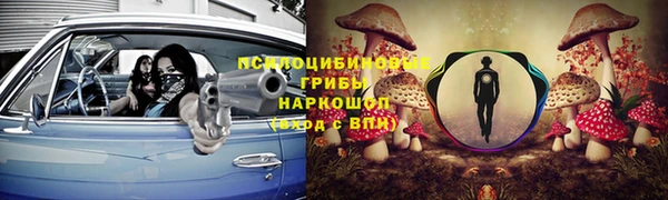 дживик Арсеньев
