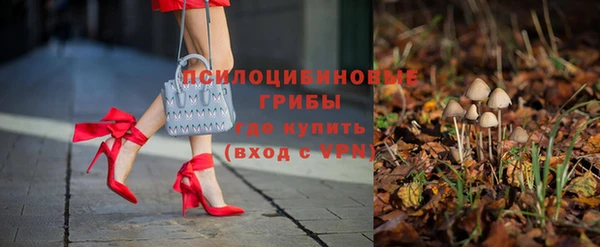 дживик Арсеньев