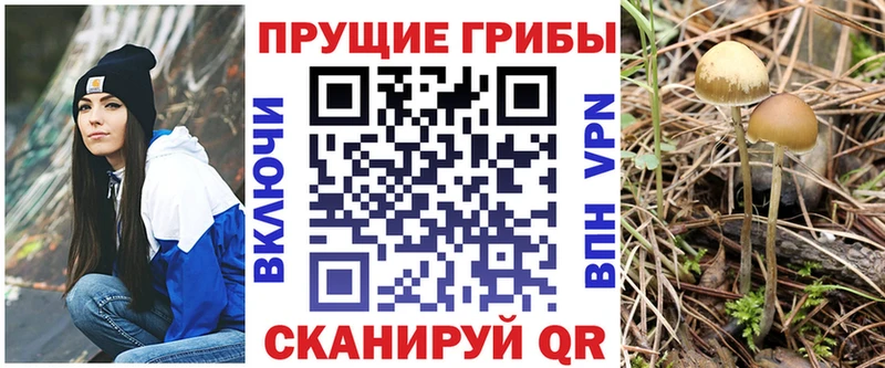 купить наркоту  Липки  Псилоцибиновые грибы мухоморы 